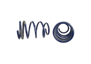 Ford Mustang Suspension Lowering Kit - Front/Rear - Ford Racing - Track Lowering Springs - `05-`14
